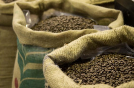 فروش عمده دان قهوه برشته شده با قیمت درب کارخانه و ارسال به سراسر ایران