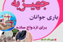 موسسه خیریه نیک گستر وصال دارای مجوز از سازمان بهزیستی 