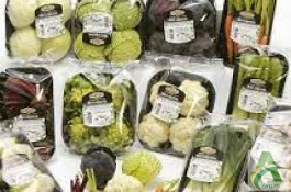  سبزیجات بسته بندی شده 